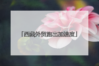 西藏外贸跑出加速度