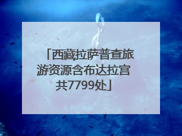 西藏拉萨普查旅游资源含布达拉宫共7799处