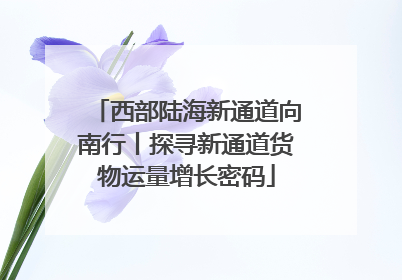 西部陆海新通道向南行丨探寻新通道货物运量增长密码