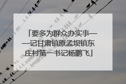 要多为群众办实事——记甘肃镇原孟坝镇东庄村第一书记杨鹏飞
