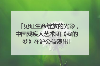 见证生命绽放的光彩，中国残疾人艺术团《我的梦》在沪公益演出