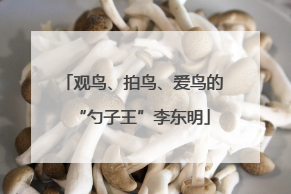 观鸟、拍鸟、爱鸟的“勺子王”李东明