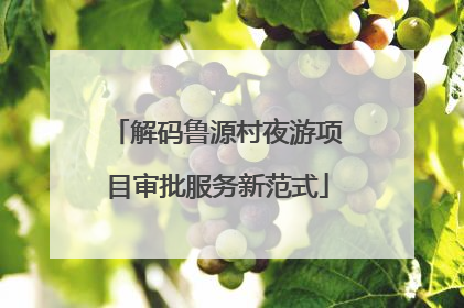 解码鲁源村夜游项目审批服务新范式