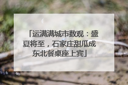 运满满城市数观：盛夏将至，石家庄甜瓜成东北餐桌座上宾