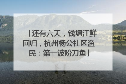 还有六天，钱塘江鲜回归，杭州杨公社区渔民：第一波盼刀鱼