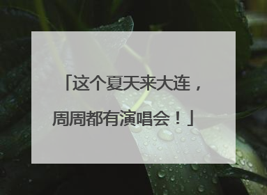 这个夏天来大连，周周都有演唱会！