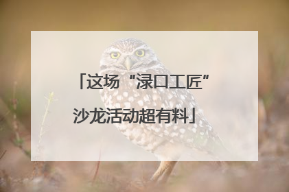 这场“渌口工匠”沙龙活动超有料