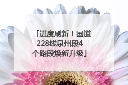 进度刷新！国道228线泉州段4个路段焕新升级