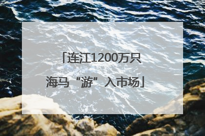 连江1200万只海马“游”入市场