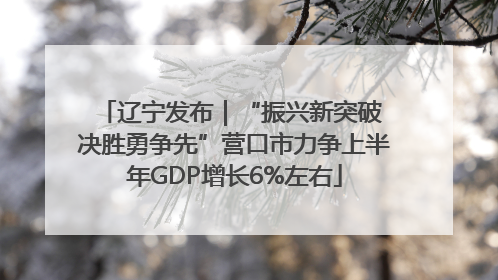 辽宁发布｜“振兴新突破 决胜勇争先”营口市力争上半年GDP增长6%左右