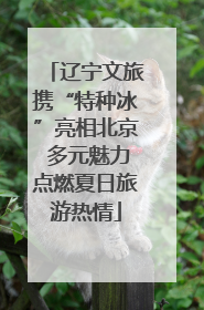 辽宁文旅携“特种冰”亮相北京 多元魅力点燃夏日旅游热情