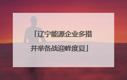 辽宁能源企业多措并举备战迎峰度夏