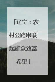 辽宁：农村公路串联起群众致富希望
