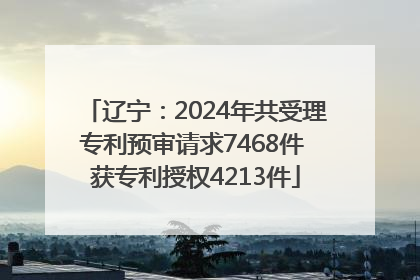 辽宁：2024年共受理专利预审请求7468件 获专利授权4213件