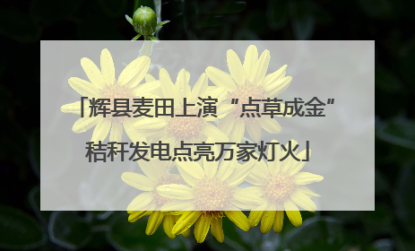 辉县麦田上演“点草成金” 秸秆发电点亮万家灯火