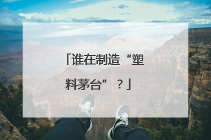 谁在制造“塑料茅台”？