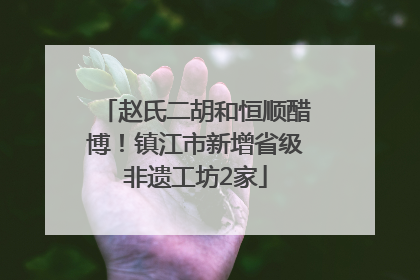 赵氏二胡和恒顺醋博！镇江市新增省级非遗工坊2家