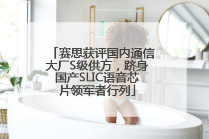 赛思获评国内通信大厂S级供方，跻身国产SLIC语音芯片领军者行列