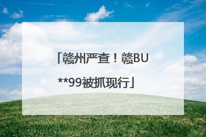 赣州严查！赣BU**99被抓现行