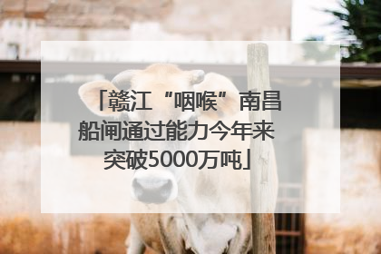 赣江“咽喉”南昌船闸通过能力今年来突破5000万吨
