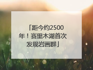 距今约2500年！赛里木湖首次发现岩画群