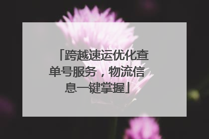 跨越速运优化查单号服务，物流信息一键掌握