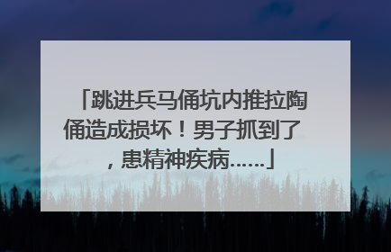 跳进兵马俑坑内推拉陶俑造成损坏！男子抓到了，患精神疾病……