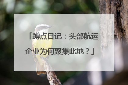 蹲点日记：头部航运企业为何聚集此地？