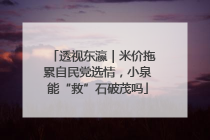 透视东瀛｜米价拖累自民党选情，小泉能“救”石破茂吗