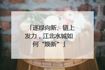 逐绿向新、链上发力，江北水城如何“焕新”