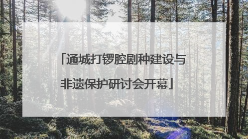 通城打锣腔剧种建设与非遗保护研讨会开幕