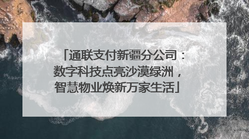 通联支付新疆分公司：数字科技点亮沙漠绿洲，智慧物业焕新万家生活