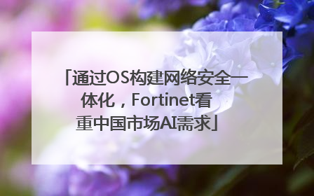 通过OS构建网络安全一体化，Fortinet看重中国市场AI需求