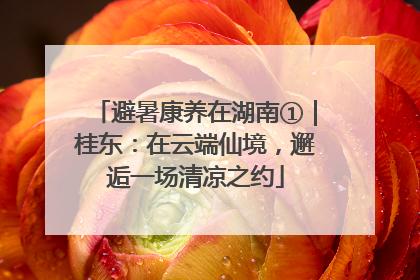 避暑康养在湖南①｜桂东：在云端仙境，邂逅一场清凉之约
