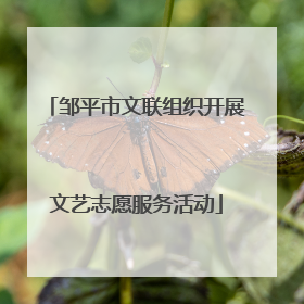 邹平市文联组织开展文艺志愿服务活动