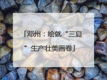邓州：绘就“三夏”生产壮美画卷