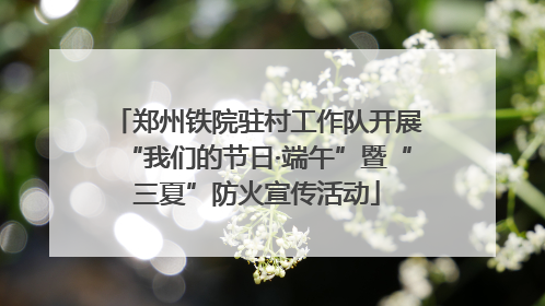 郑州铁院驻村工作队开展“我们的节日·端午”暨“三夏”防火宣传活动
