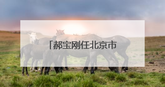 郝宝刚任北京市朝阳区副区长