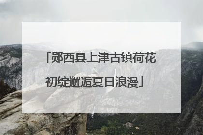 郧西县上津古镇荷花初绽邂逅夏日浪漫