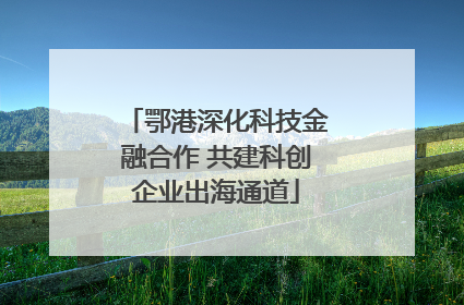 鄂港深化科技金融合作 共建科创企业出海通道