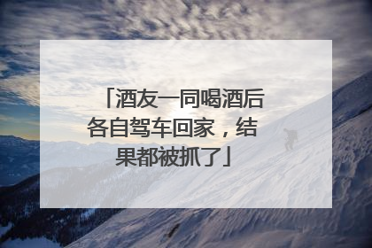 酒友一同喝酒后各自驾车回家，结果都被抓了