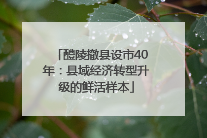 醴陵撤县设市40年：县域经济转型升级的鲜活样本