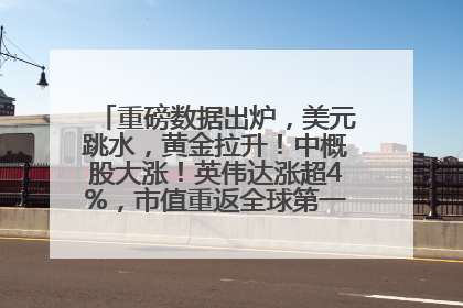 重磅数据出炉，美元跳水，黄金拉升！中概股大涨！英伟达涨超4%，市值重返全球第一！黄仁勋计划出售至多600万股股票
