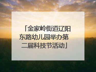 金家岭街道辽阳东路幼儿园举办第二届科技节活动