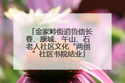 金家岭街道鲁信长春、康城、午山、石老人社区文化“两创”社区书院结业