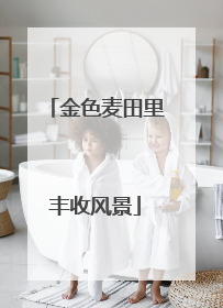 金色麦田里丰收风景