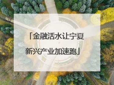 金融活水让宁夏新兴产业加速跑