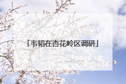 韦韬在杏花岭区调研