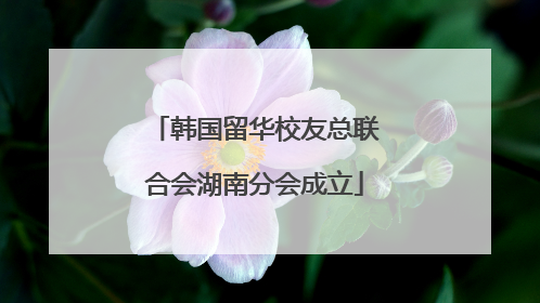 韩国留华校友总联合会湖南分会成立