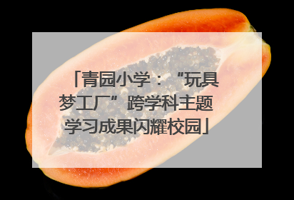 青园小学：“玩具梦工厂”跨学科主题学习成果闪耀校园